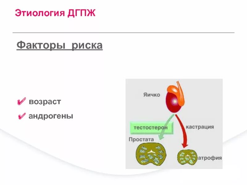 Гиперплазия предстательной железы. Аденома предстательной железы этиология. Доброкачественная гиперплазия предстательной железы презентация. Узловая гиперплазия предстательной железы этиология.