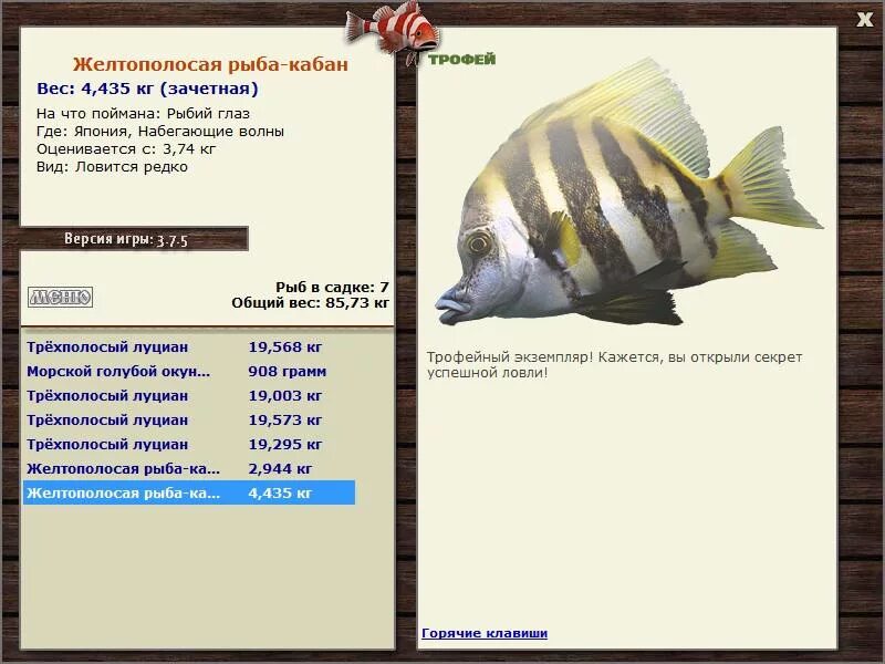 продолжительность жизни кабана. рыба кабан. характеристика свиньи-овна. кабан рыбы совместимость. рыба кабан гороскоп.
