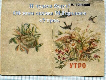 Рассказ утро читать