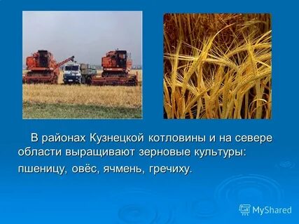 Презентация растениеводство в нашем крае 4 класс