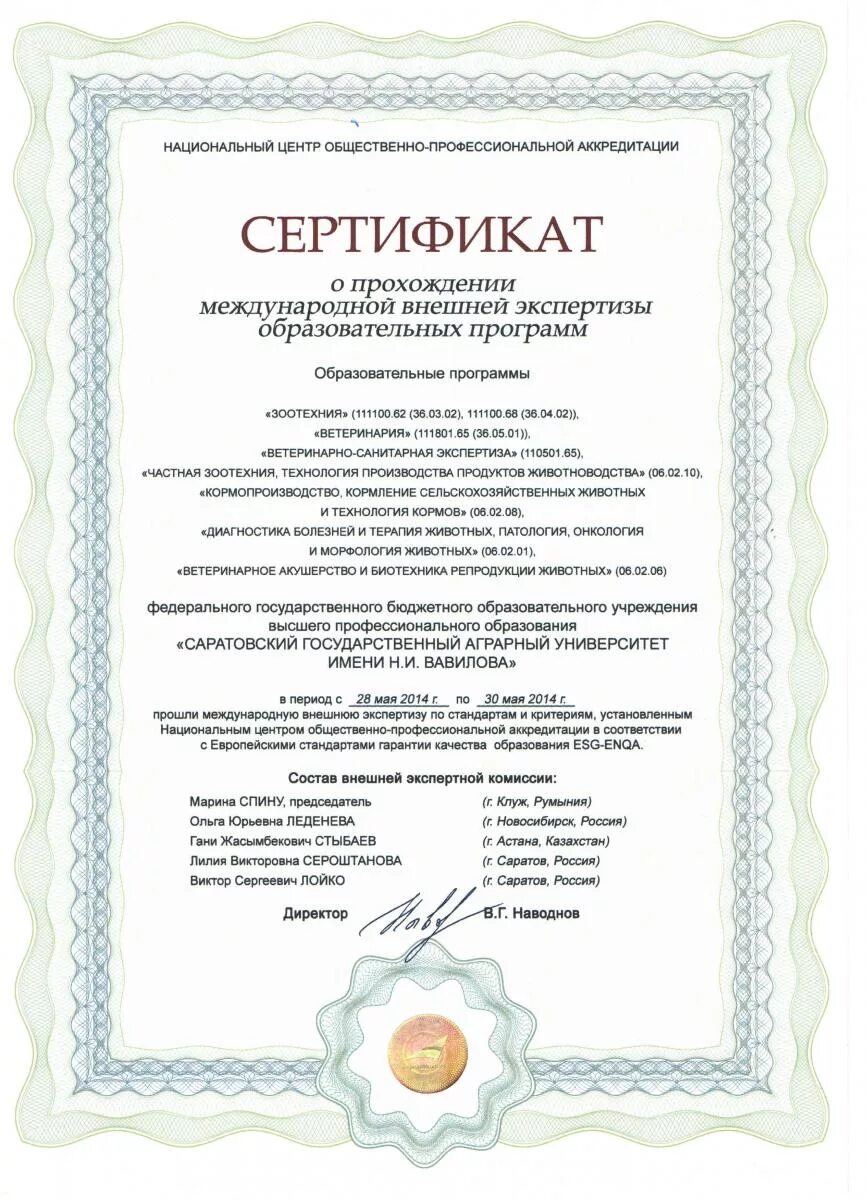 Внешняя экспертиза программы. Внешняя экспертиза программы