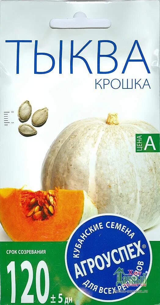 Тыква медовая крошка описание сорта. Тыква крошка. тыква кроха. тыква медовая крошка. тыква крошка семена.