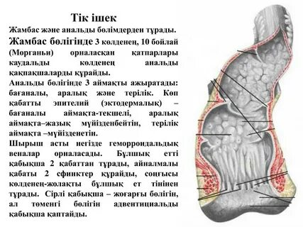 Фитнес порно hd