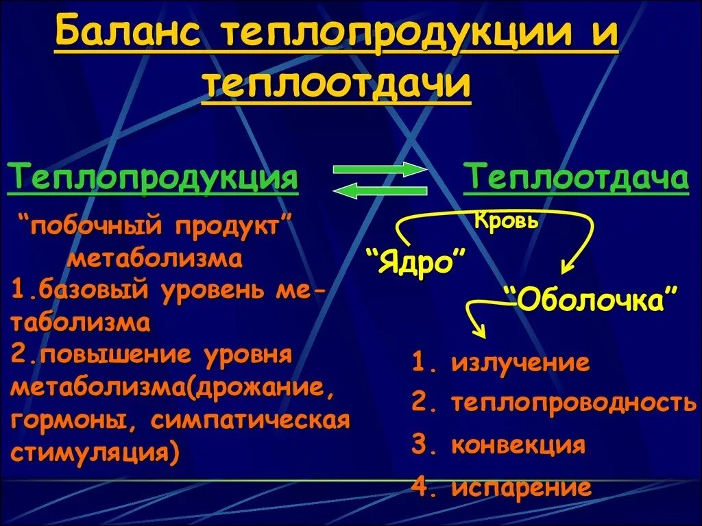 Нервная регуляция температуры тела