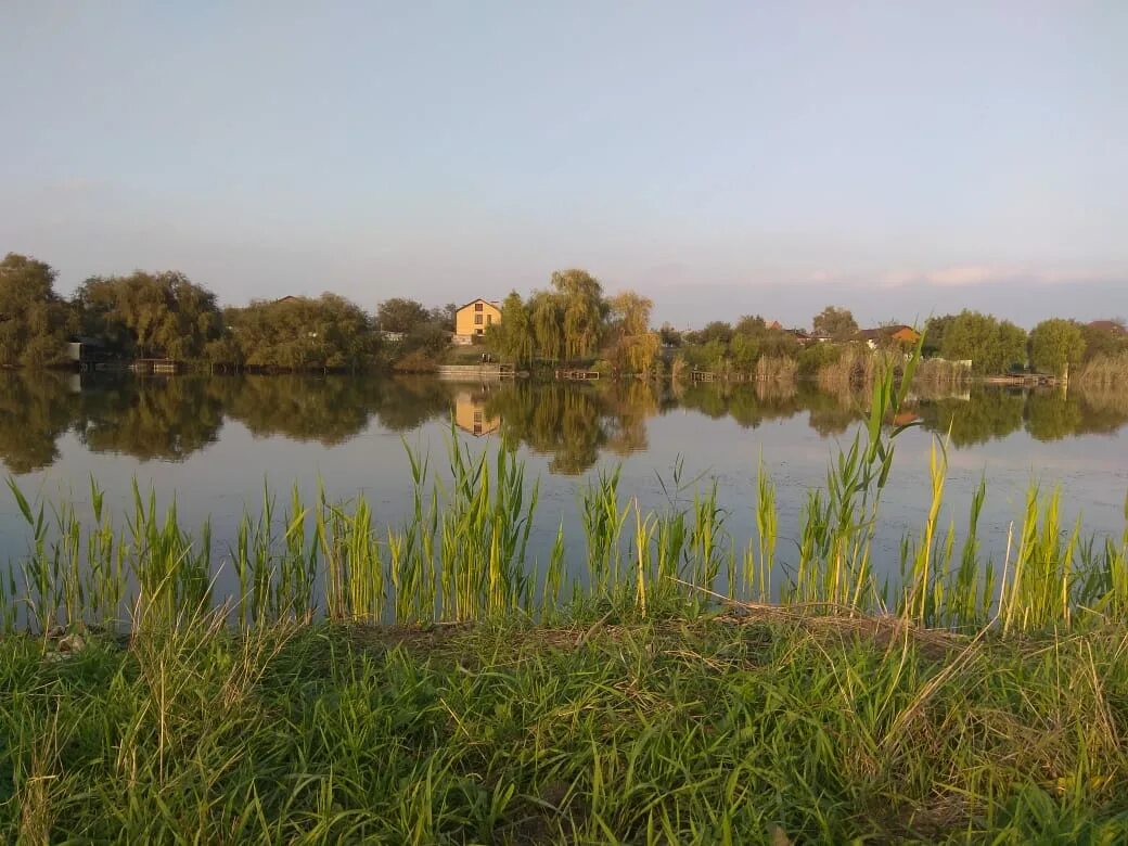 Станица Динская. Динской район Краснодарский край. Краснодарский край станица Динская птицы. Краснодар станица Динская. Погода в станице динской краснодарский край