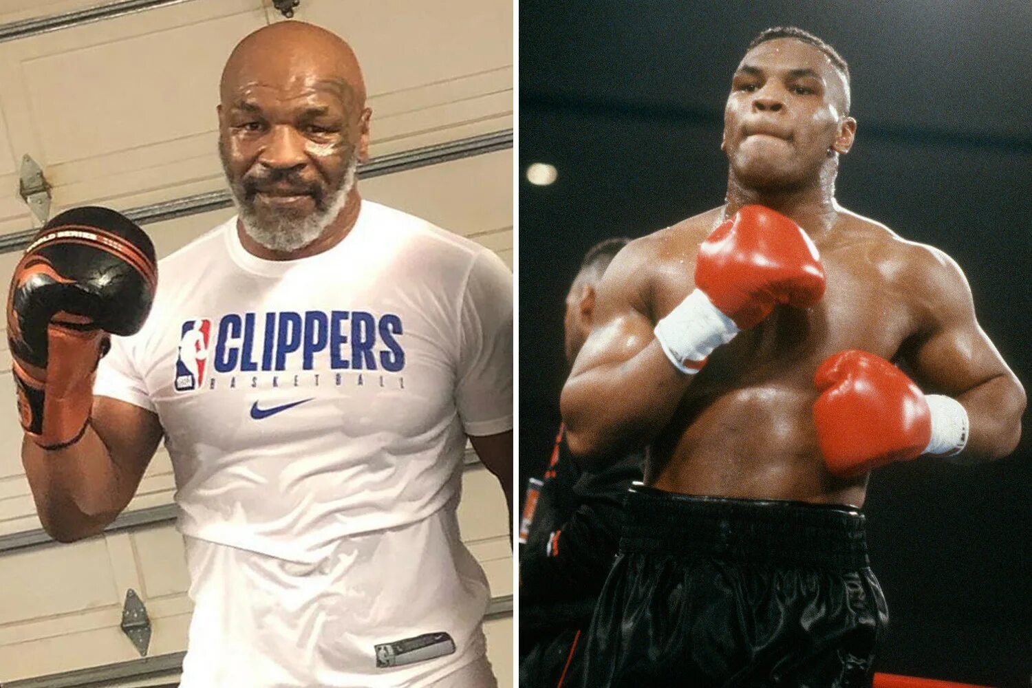 Увлечение майка тайсона. Майк тайсон в голубятне. Mike tyson 2022. Увлечение майка тайсона. Майк тайсон.