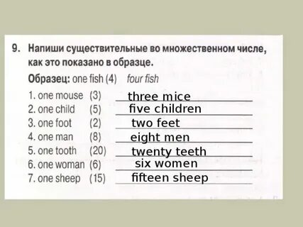 Силос множественное число