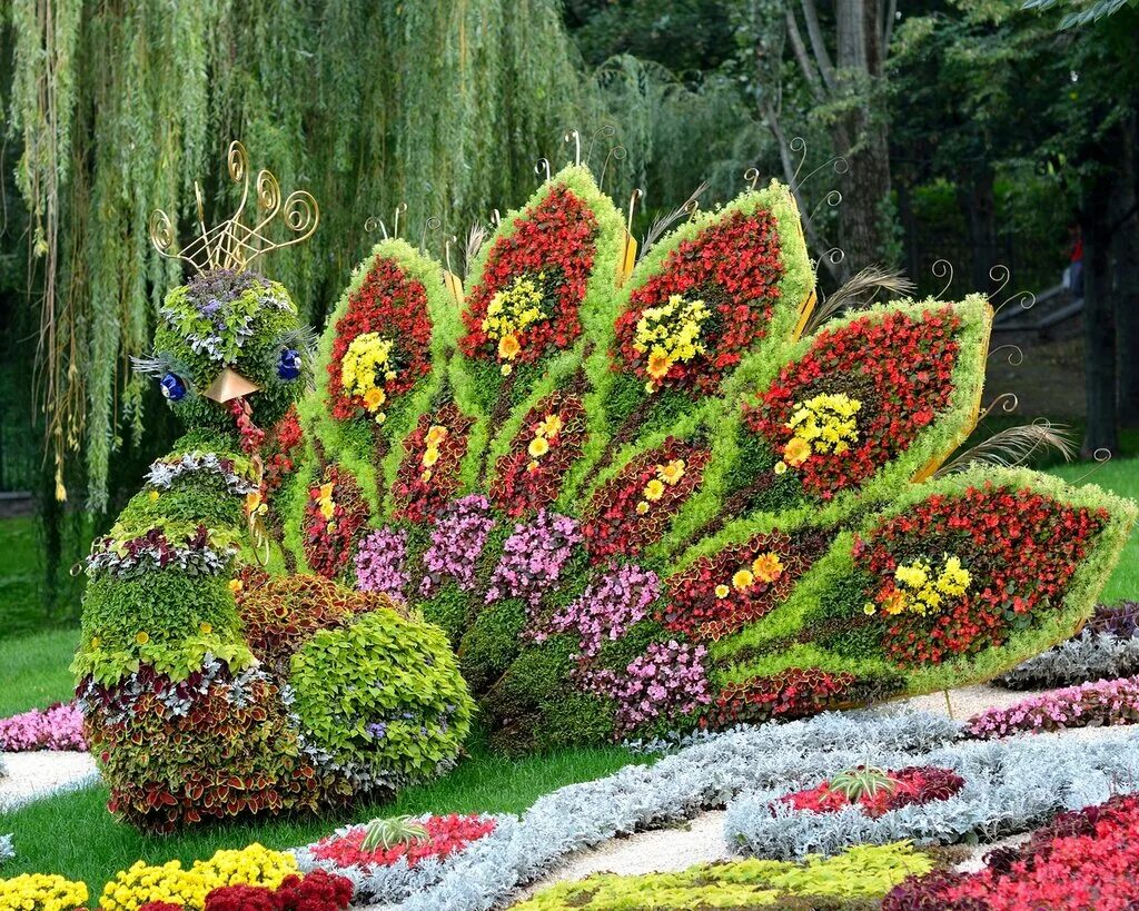 Выставки цветов в саду. Красивые цветники в детском саду. Парк койкенхоф парад тюльпанов. Клумба бархатцы агератум хризантемы. Композиции из цветов на улице.