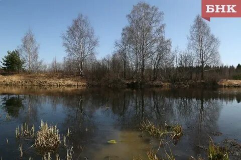 Погода коми цгмс троицко