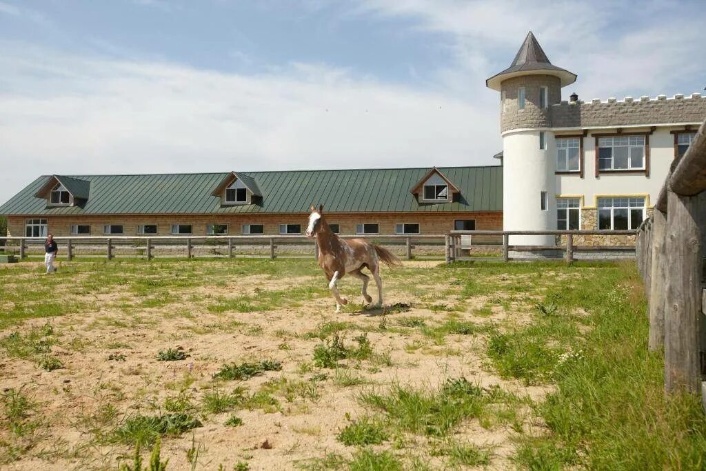 Экоферма в подмосковье. Ярославская область деревня пятинское. Экскурсия на ферму для детей. Экскурсия на ферму. Экоферма в подмосковье.