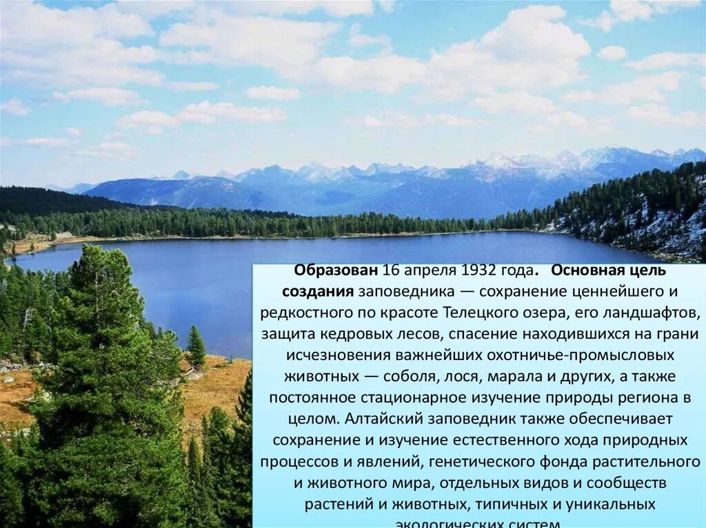 Сообщение о алтайском заповеднике. Проект Алтайский заповедник России. Алтайский заповедник презентация. Алтайский заповедник доклад. Заповедник слайд.