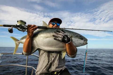 Fishing rods fisch