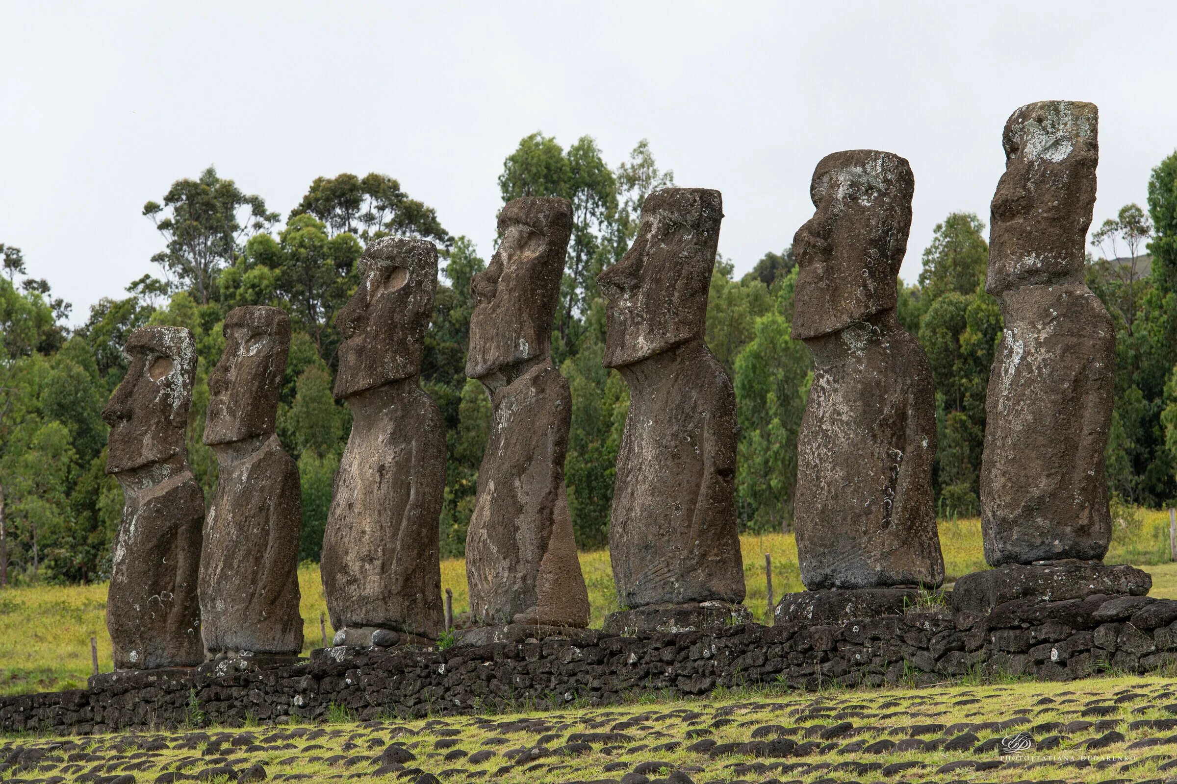 Статуи на острове. Каменные истуканы острова Пасхи. Моаи на острове Пасхи. Остров Пасхи статуи. Статуи Моаи.