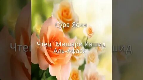 Бесплатные послушать ясин