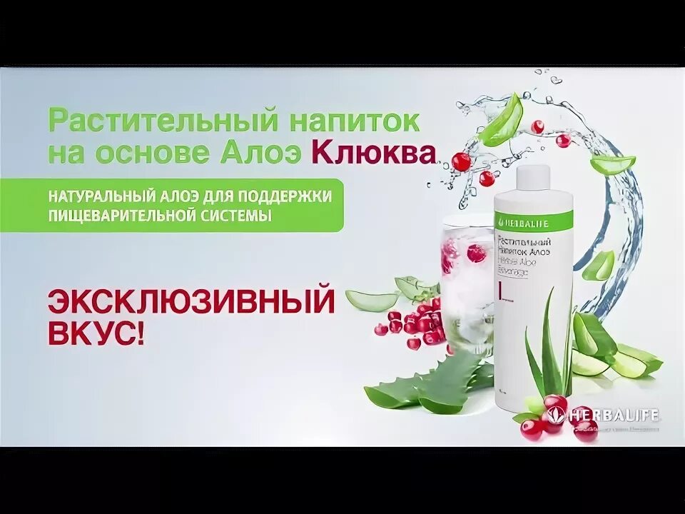 Алоэ классический гербалайф. Алоэ клюква гербалайф. Манго или клюква алоэ. Растительный напиток алоэ гербалайф. Концентрат алоэ.