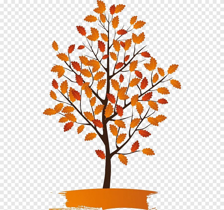 Клен без листьев. Осеннее дерево. Осеннее дерево для детей. Деревья осенью для детей. Осеннее дерево на прозрачном фоне.