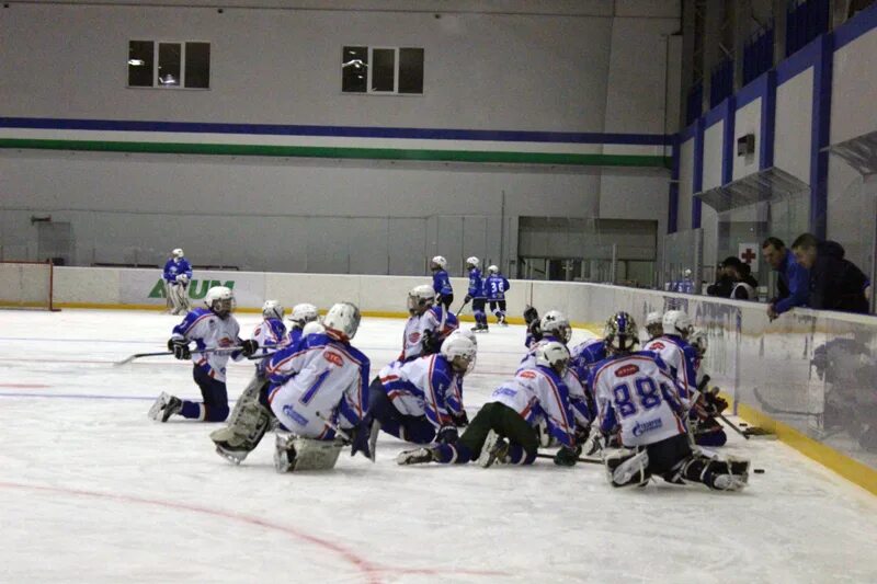 хризотил 2004. первенство россии по хоккею урал западная сибирь 2005. хризотил 2004. мкц западная сибирь 2 группа. урал хоккей западная сибирь 2006.