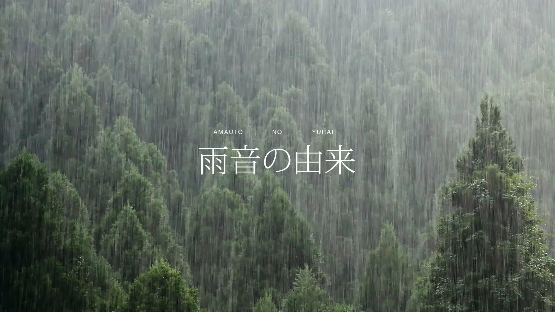 Громкие звуки дождя. Звук дождя. Обои дождь со звуком. Звуки дождя описание. Звуки дождя в лесу для сна.