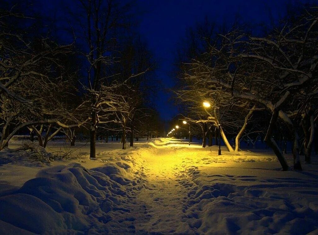 Вечером снежок. Ночь зимой. Зимний вечер. Зимний парк ночью. Снежный вечер.