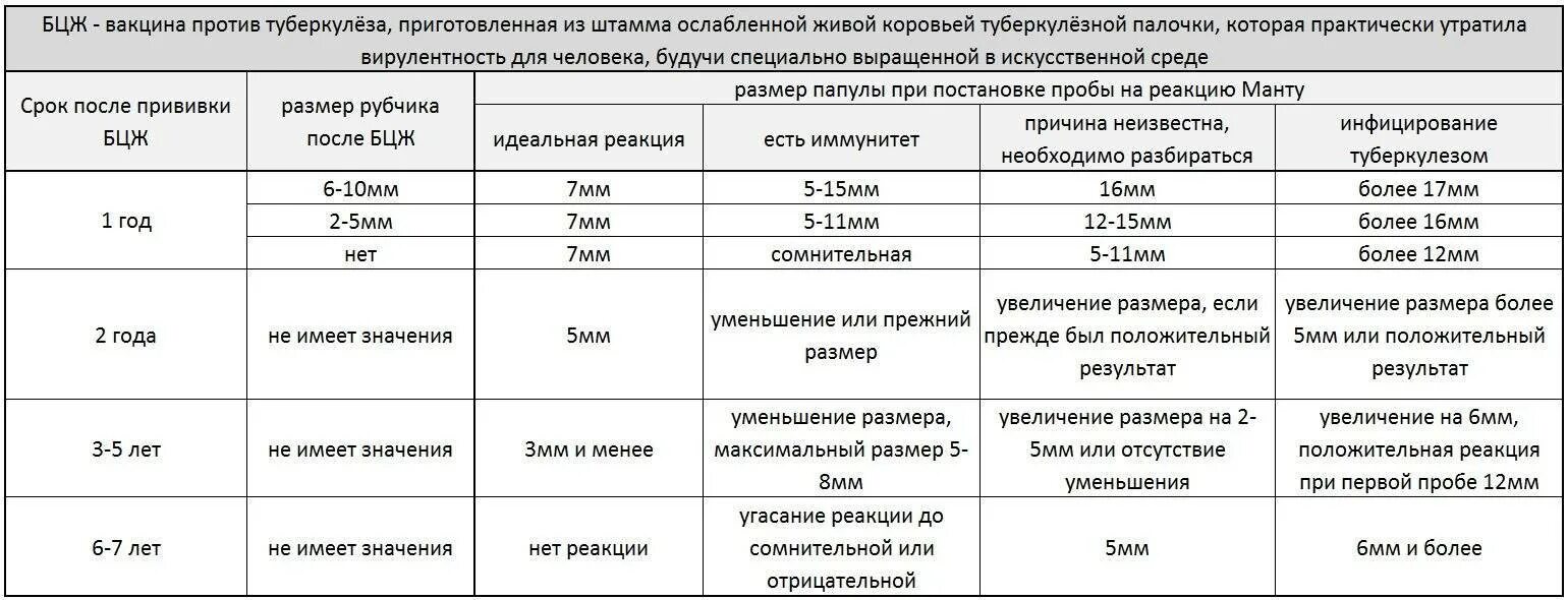 Прививка после манту через какое время. Норма прививки манту у детей 6 лет. Нормальный размер реакции манту у детей. Реакция манту норма в 1.5 года.