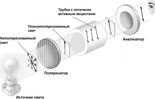 Поляризатор и анализатор. Оптически активные формы. Оптически активные вещества примеры.