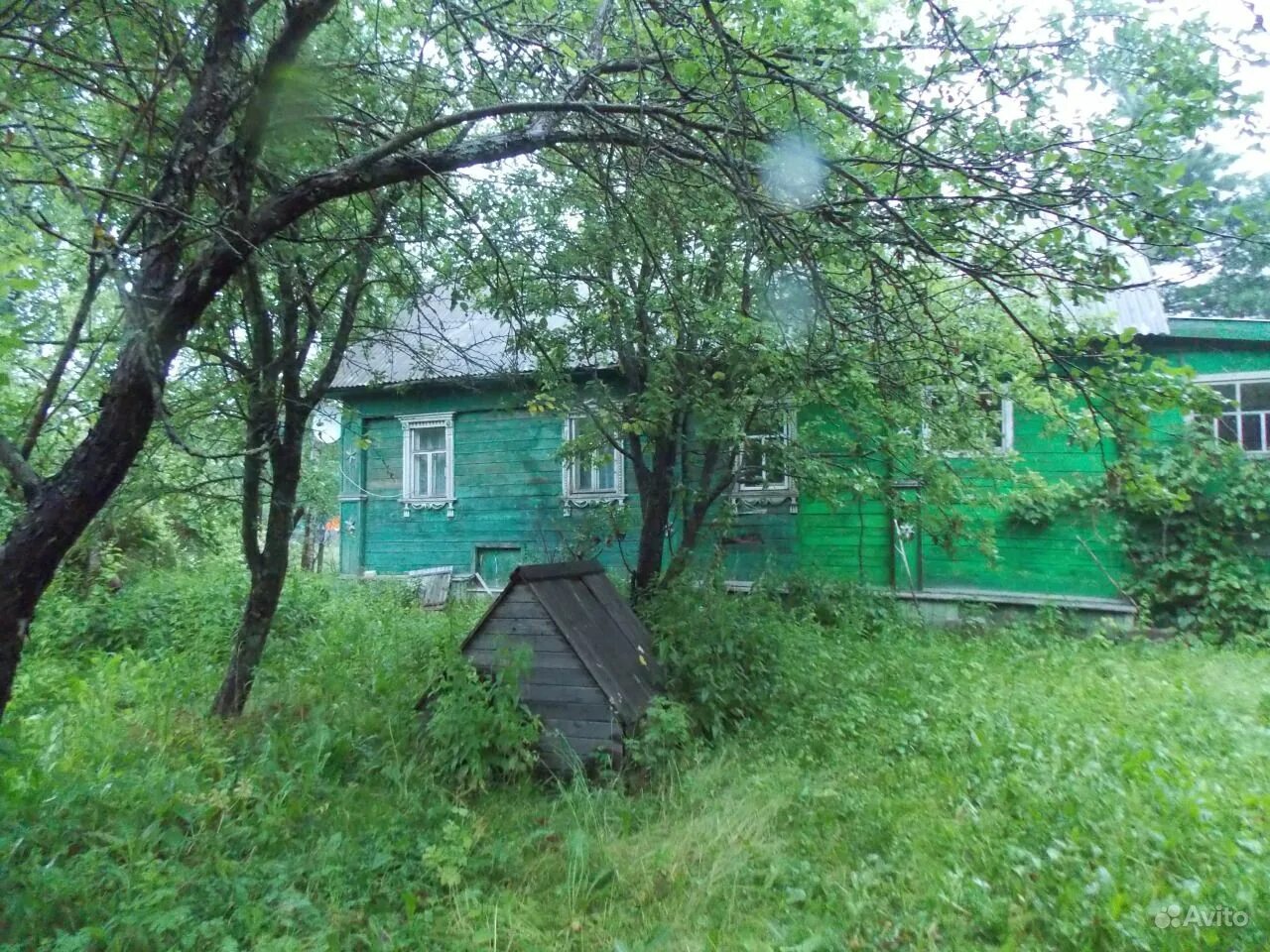 50 соток земли. Сокольское лесничество мамадышский район вчера. Пятьдесят сот. Почвы деревни бельское талдомского района московской области. Марий эл шереганово школа.