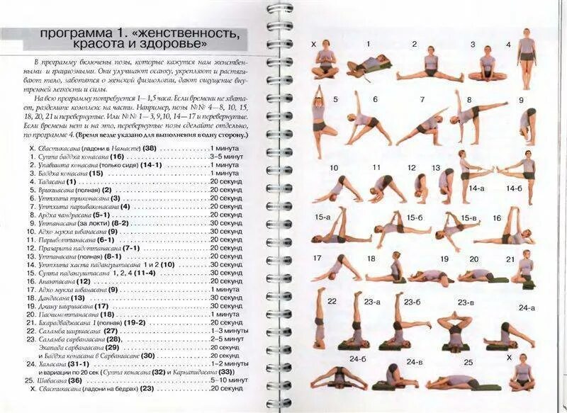 Программа позы. Хатха йога комплекс для начинающих. йога для начинающих в домашних условиях программа тренировок. хатха-йога комплекс упражнений. йога асаны для начинающих для похудения.