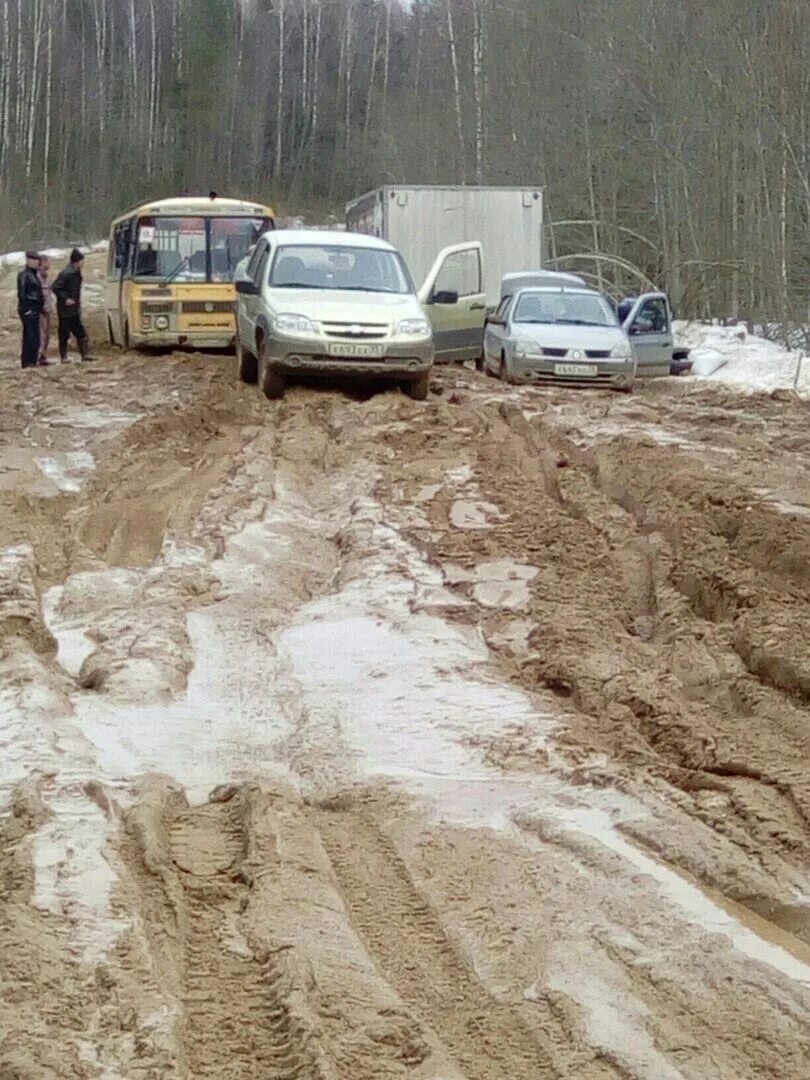 Дорога в Борок Никольский район. Дороги Вологодской области. Вологда дороги. Борок Вологодская область.