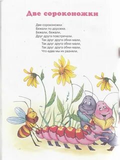 Песня сороконожка