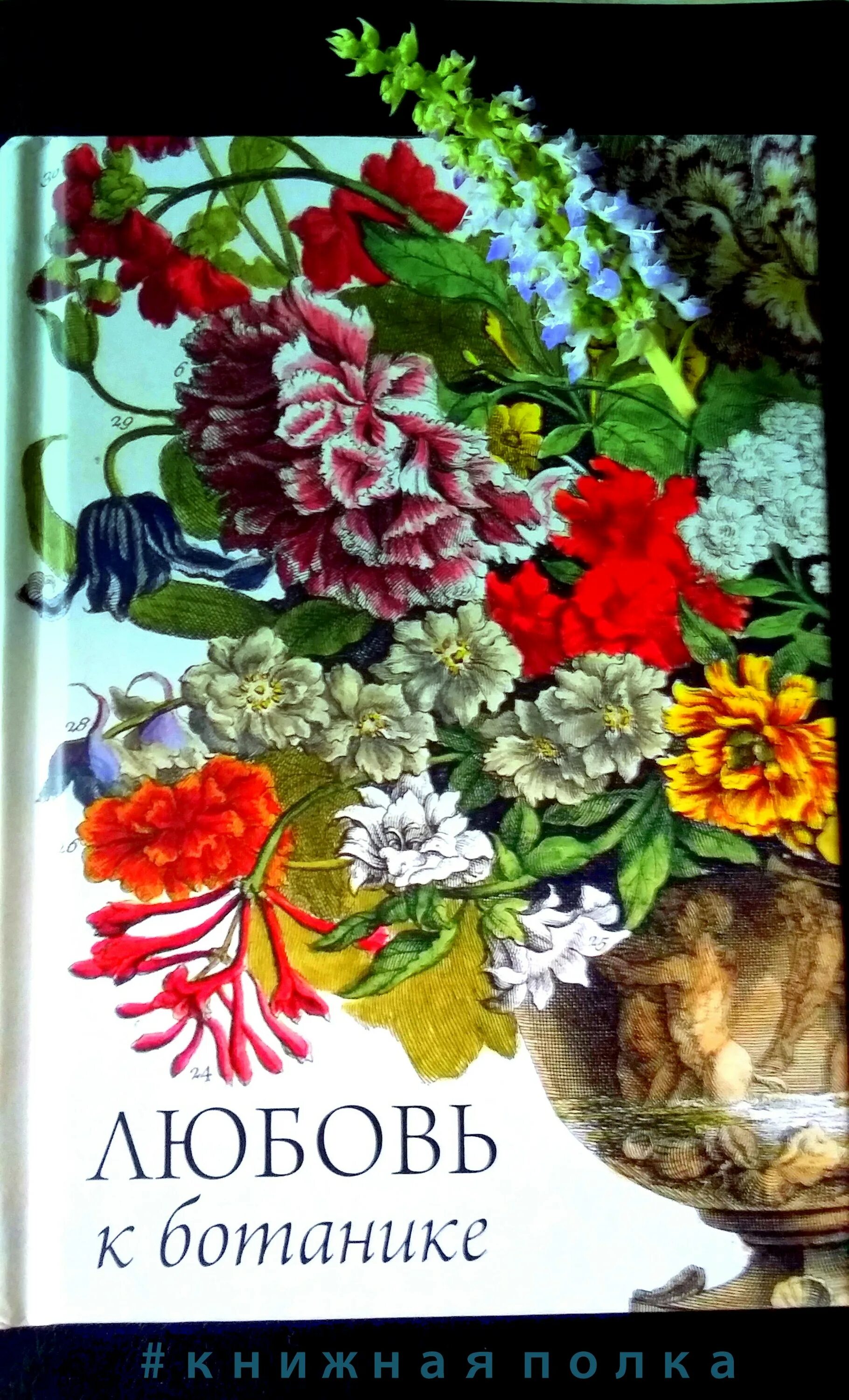 Любовь к ботанике. Любовь к ботанике книга. Книга с иллюстрациями любовь к ботанике. Любовь к ботанике Стрельцова. Ботаник любви