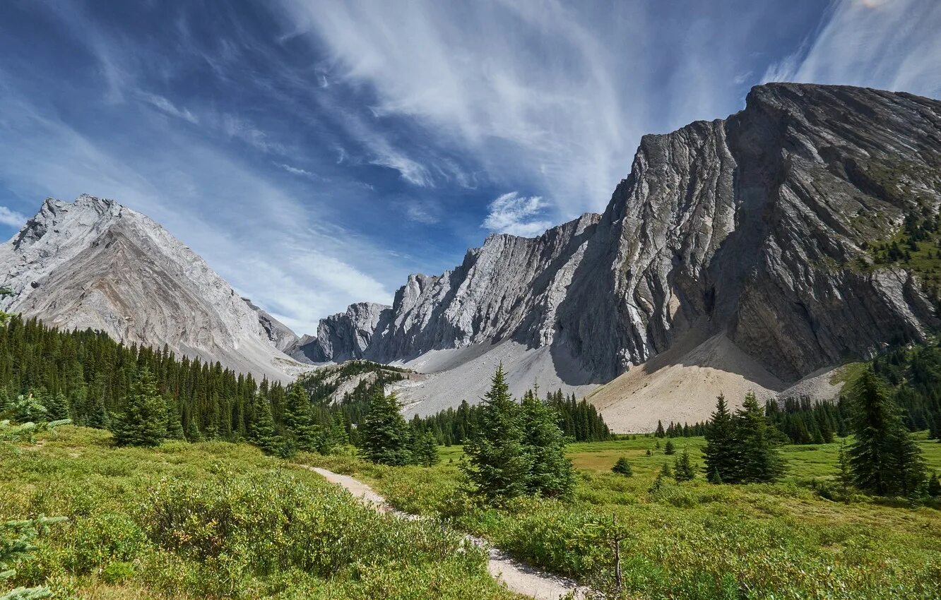 Скалистые горы. Горы Канады. Обои горы. Растительность канады