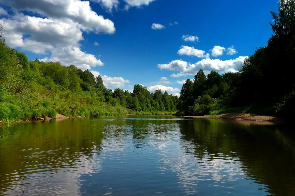 Но до чего же красива река лобань. Кильмезь река Лобань. Река Лобань Кировская область. Река Кильмезь Удмуртия. Лобань (приток Кильмези).