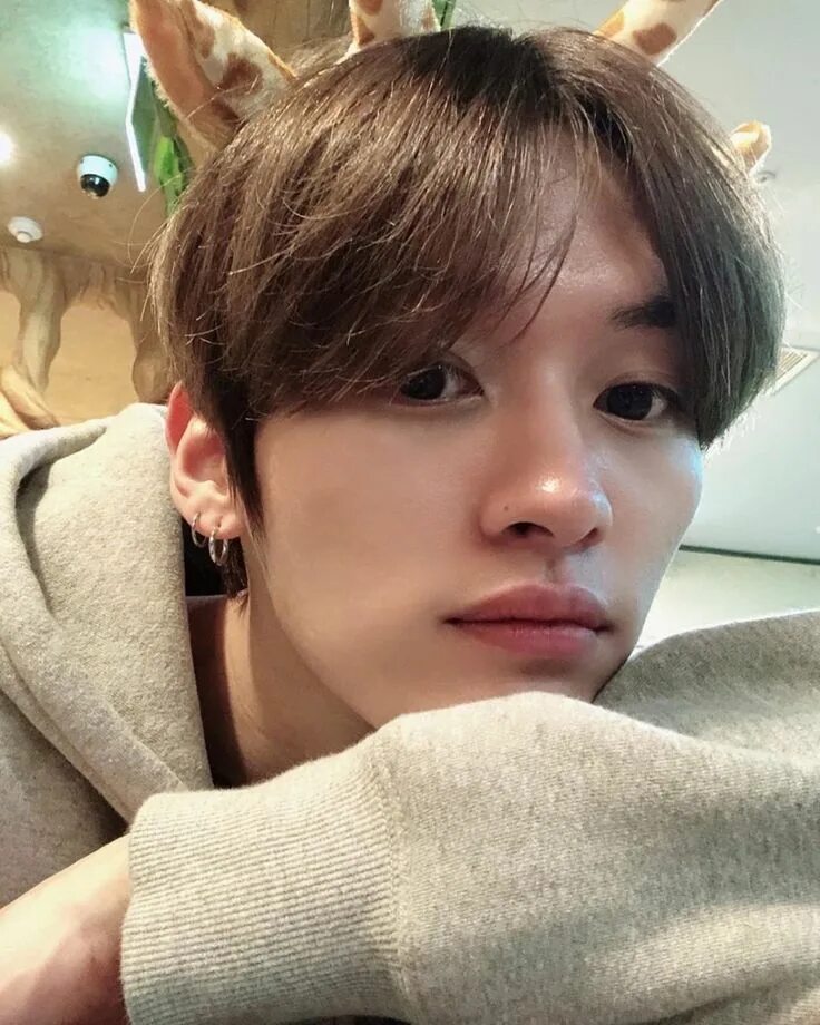 Чхве мин хо шайни. Минхо шайни. Минхо лино. Минхо stray kids 2021 без макияжа. Минхо без.