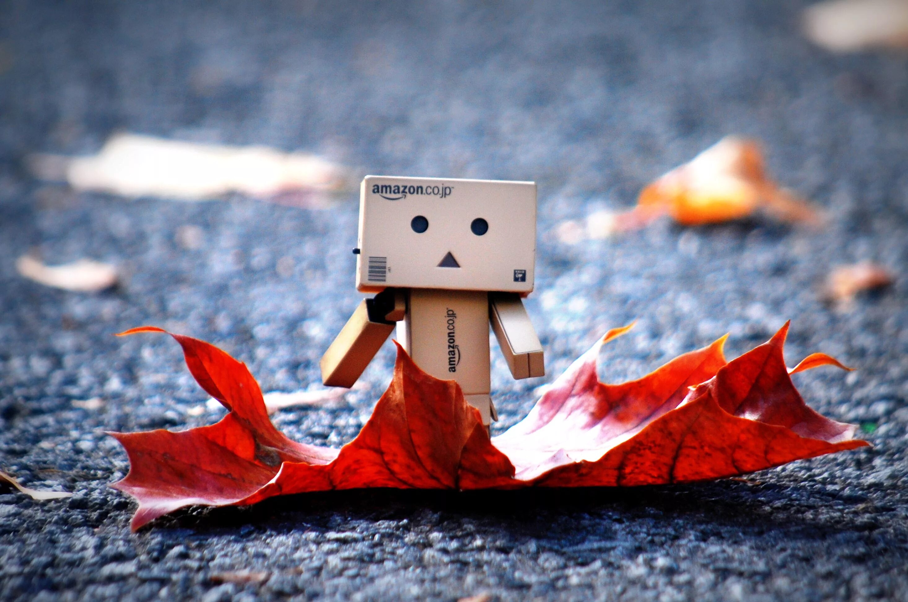 Неспешный. Картонный человечек Danbo. Креативные обои осень. Осень креатив. Осень роботы.