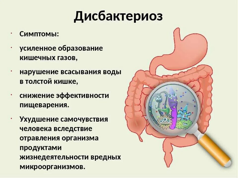 Изменения в микрофлоре кишечника приводят. Дисбактериоз. исбактериоз кишечника»:. дисбактериоз кишечника симптомы. кишечный дисбактериоз проявления.