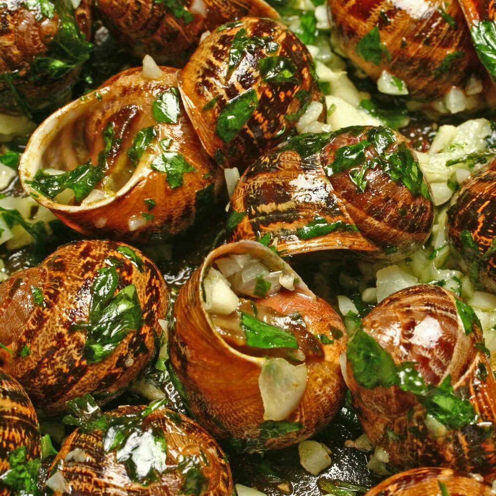 Улитки Эскарго. Улитка Виноградная escargots. Блюда из виноградных улиток. Виноградные улитки блюдо. Рецепт улитки в духовке