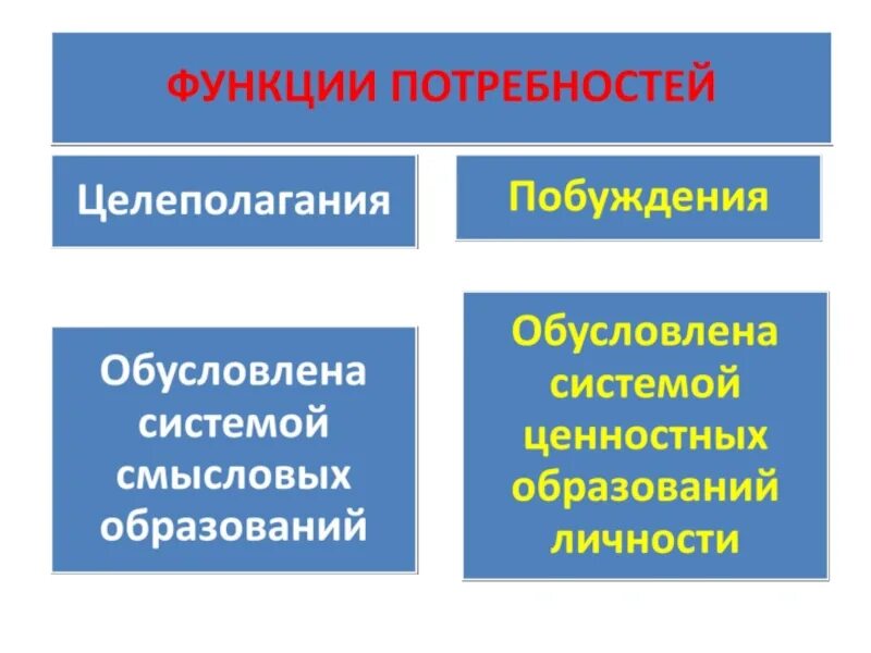 Основной функцией потребности является