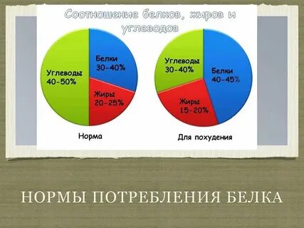 Белки жиры углеводы задания егэ биология