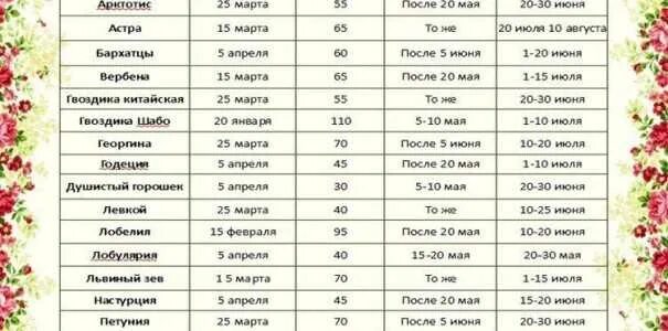 Что сажать в феврале на рассаду. Сроки посадки рассады таблица. Что сажать в феврале на рассаду. Что сажать в феврале на рассаду. Лунный календарь на февраль 2021 года.