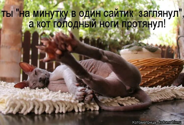 Голодные ноги