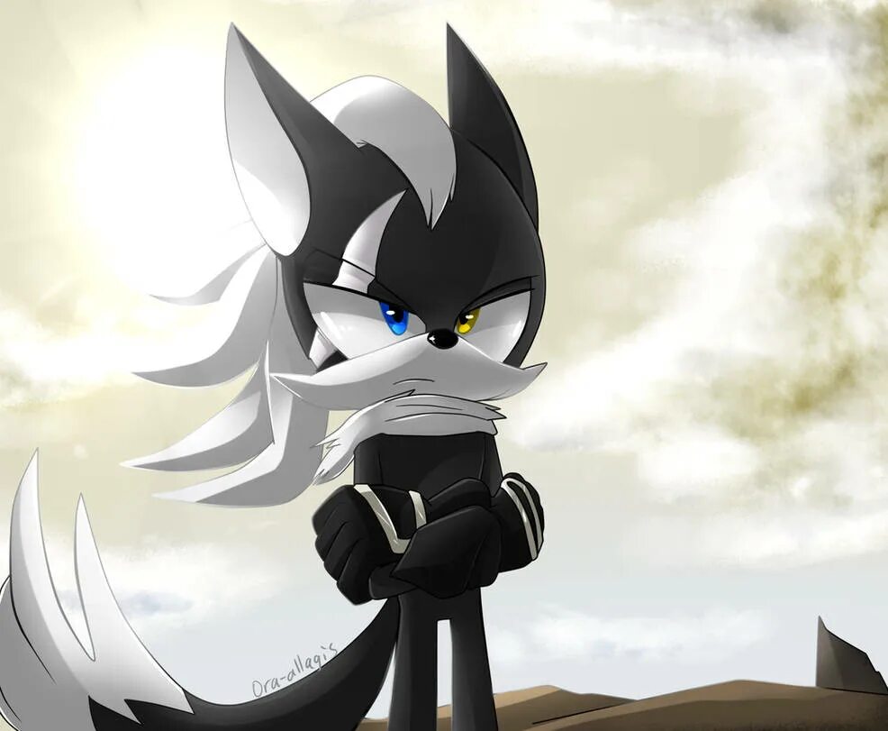 Тень шедоу соник. Шедоу винд 2. Ёж шэдоу. Блэк армс из соника. Рука орочи shadow warrior 2.