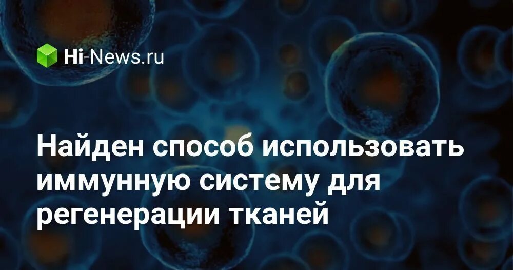 Регенерации случайных