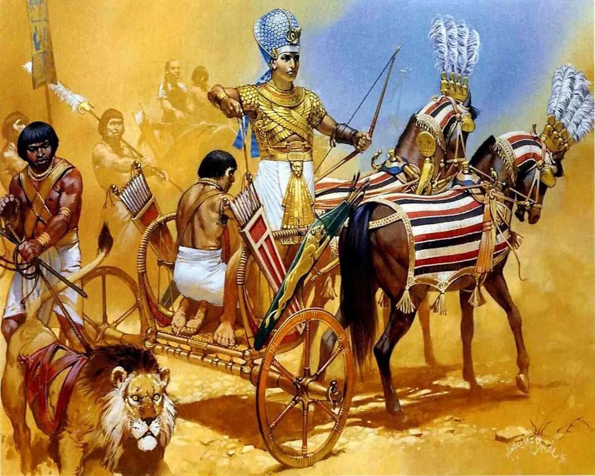 Самый древний народ египта. РАМЗЕС 2 битва при Кадеше. РАМЗЕС 2 на колеснице. Военные походы фараонов боевые колесницы. Армия фараона древнего Египта.