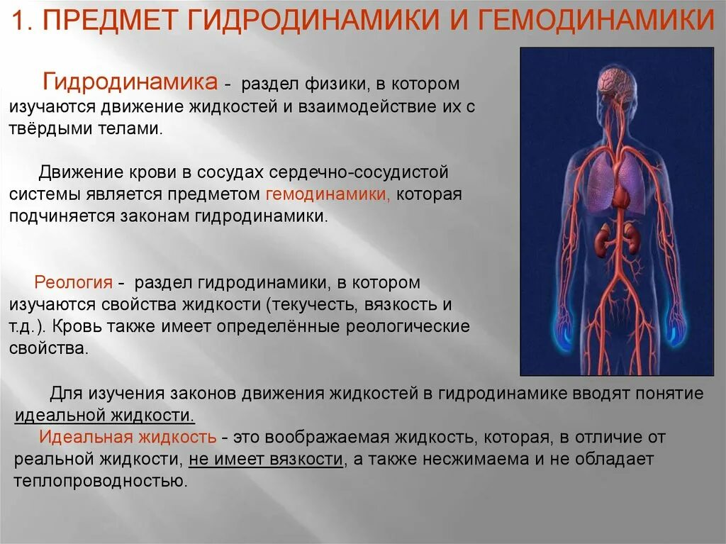 Гемодинамика. Гемодинамика движение крови по сосудам. Физические основы гемодинамики. Закономерности гемодинамики. Гемодинамика пациента