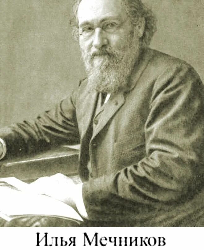 Ильи Ильича Мечникова (1845—1916).