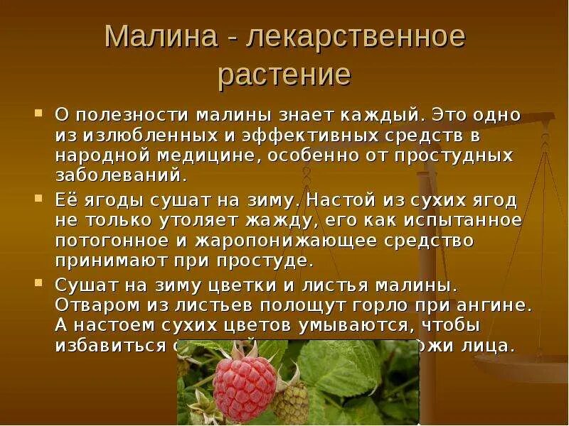 Лечебные травы 2 класс