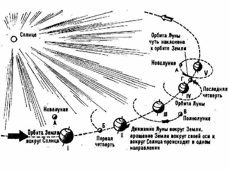 Оборот луны вокруг солнца. Схема движения земли и луны вокруг солнца. движение луны относительно земли. схема движения луны вокруг земли и земли вокруг солнца. движение луны относительно земли схема.