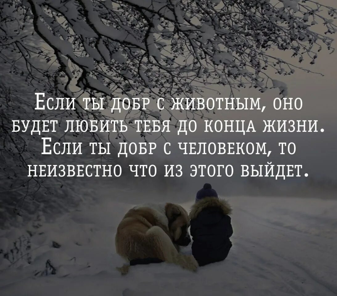 психология отношений картинки.