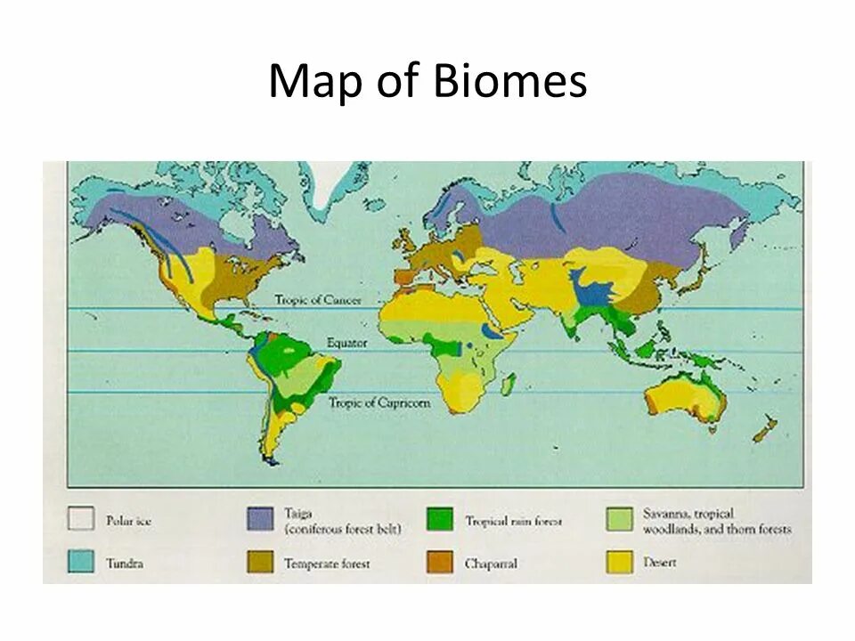 Биомы суши. Биомы суши карта. Карта основных биомов суши.