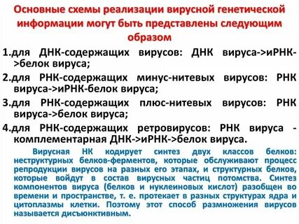 Последовательность реализации наследственной информации